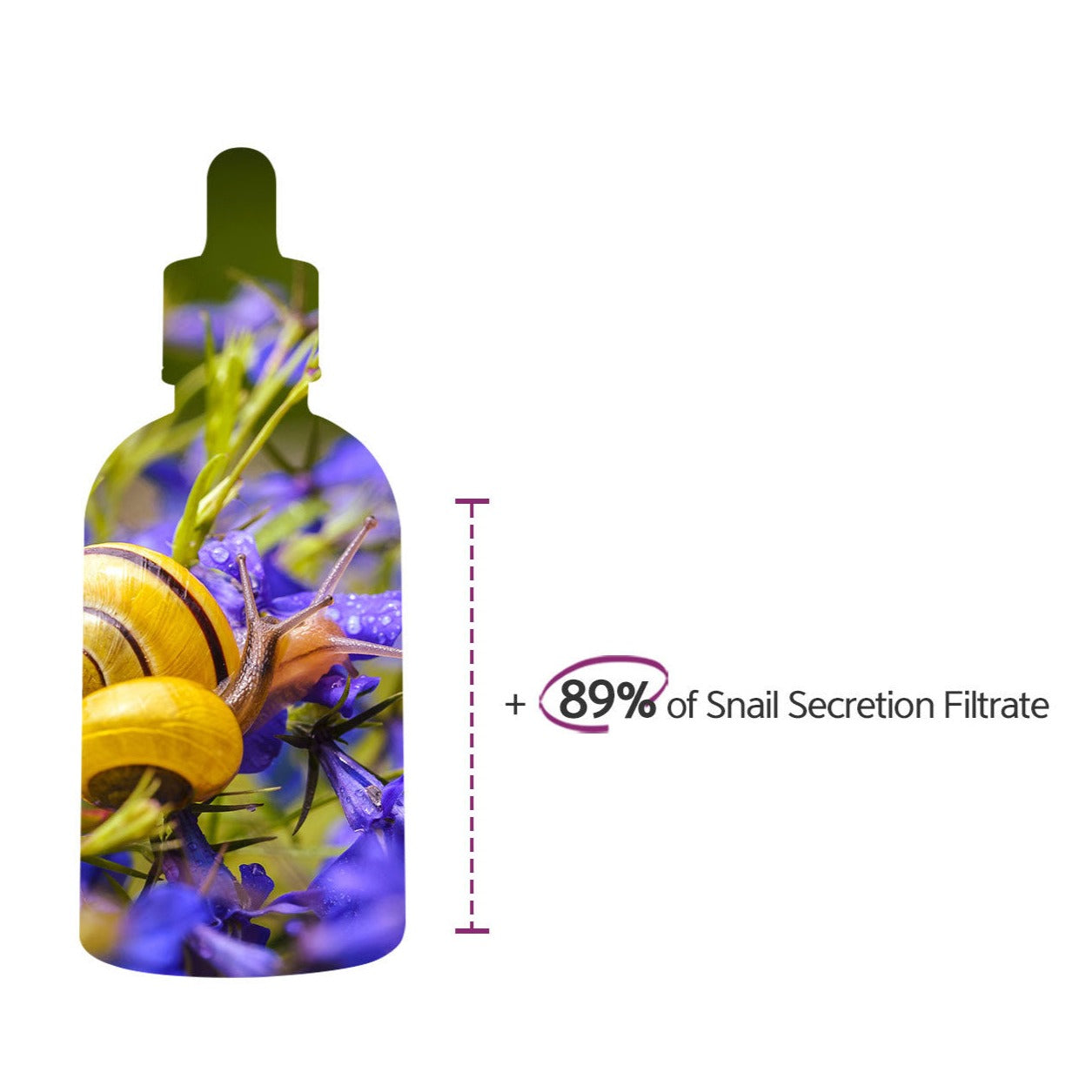 M.G.F Renewal Ampoule 52ml (PRO)