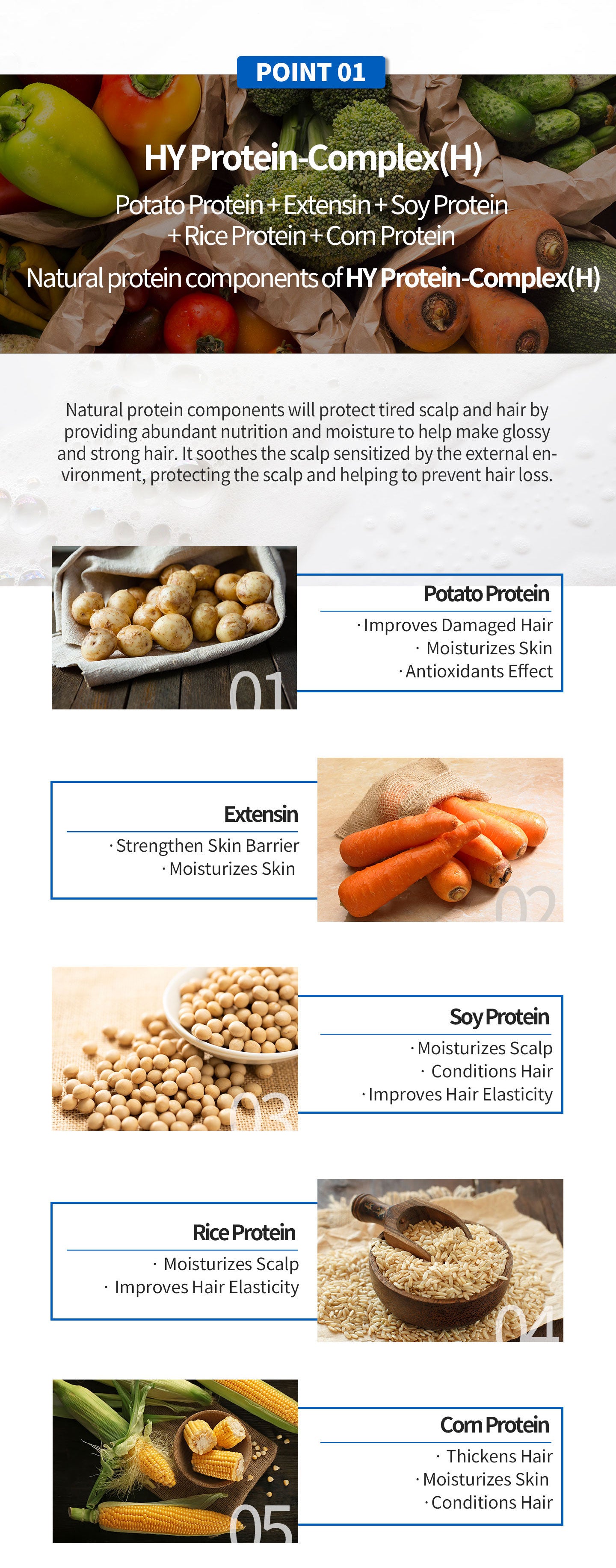 Potato protein + extensin + soy protein + rice protein + corn protein. Natural protein components of HY Protein-complex. Natural protein components will protect tired scalp and hair by providing abundant nutrition and moisture to help make glossy and stro