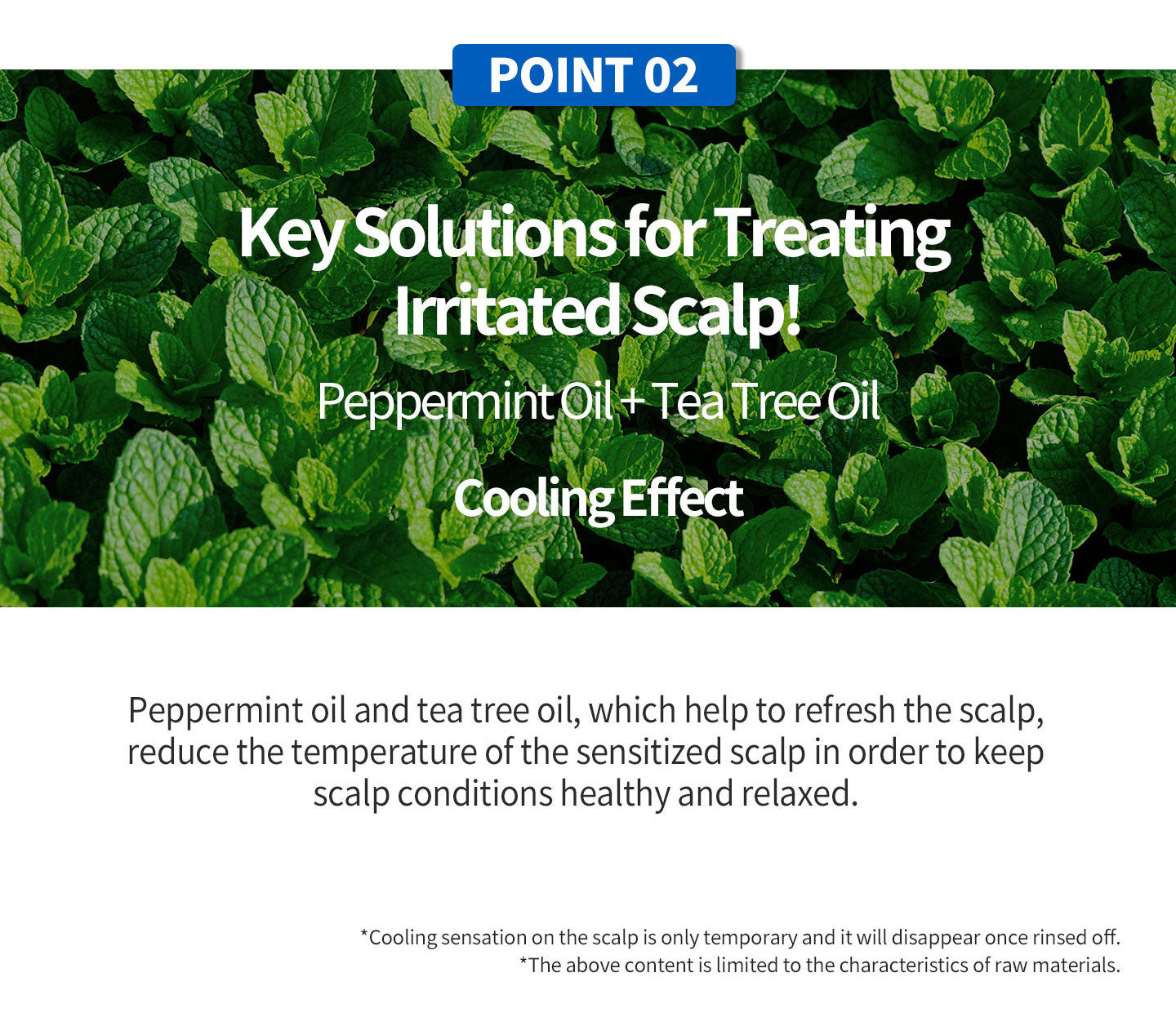 Key solutions for treating irritated scalp! Peppermint oil + tea tree oil cooling effect. Peppermint oil and tea tree oil, which help to refresh the scalp, reduce the temperature of the sensitized scalp in order to keep scalp conditions healthy and relax