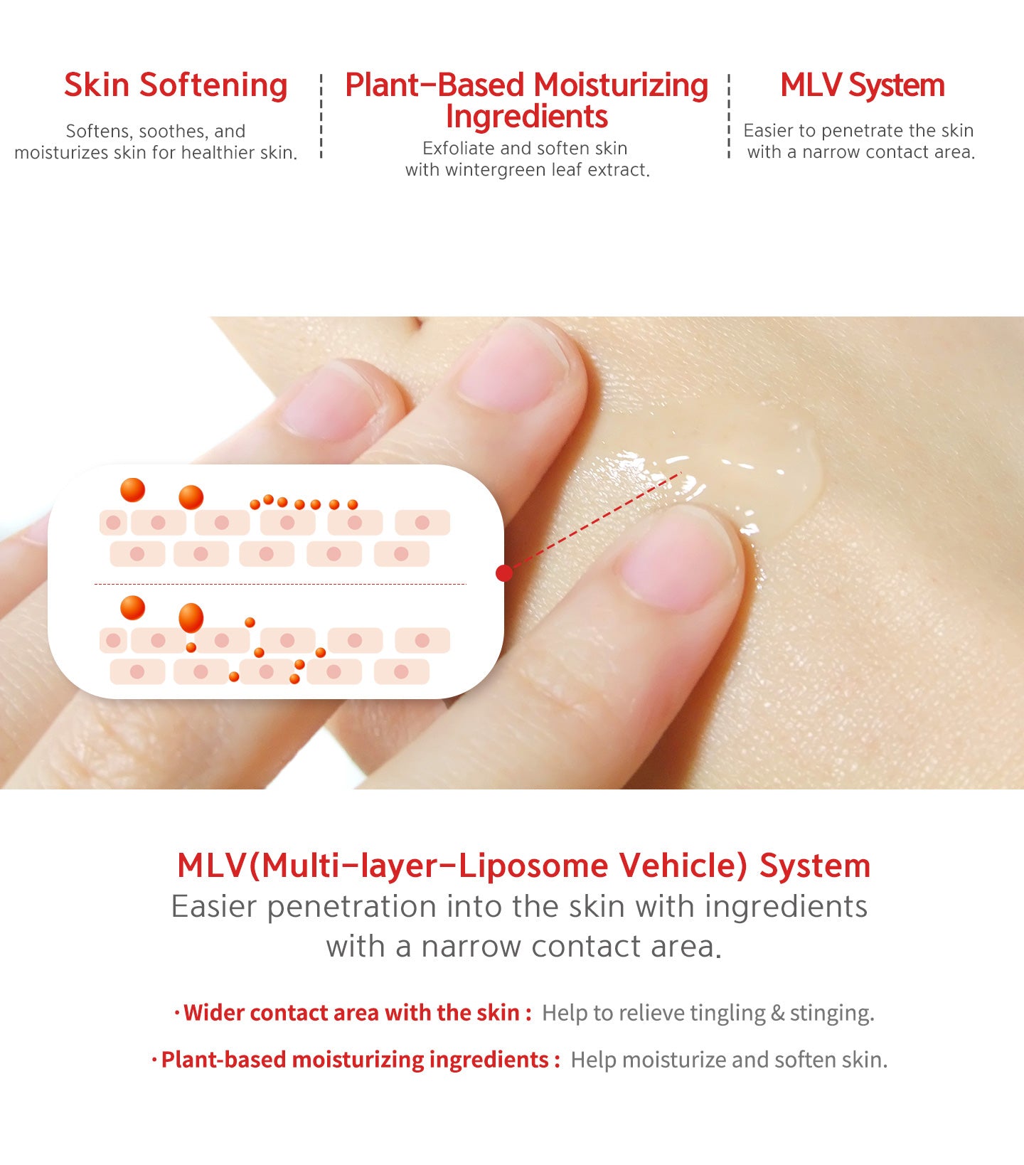 Skin softening, plant-based moisturizing ingredients, MLV system (multi-layer-liposome vehicle) system. Easier penetration into the skin with ingredients with a narrow contact area. 