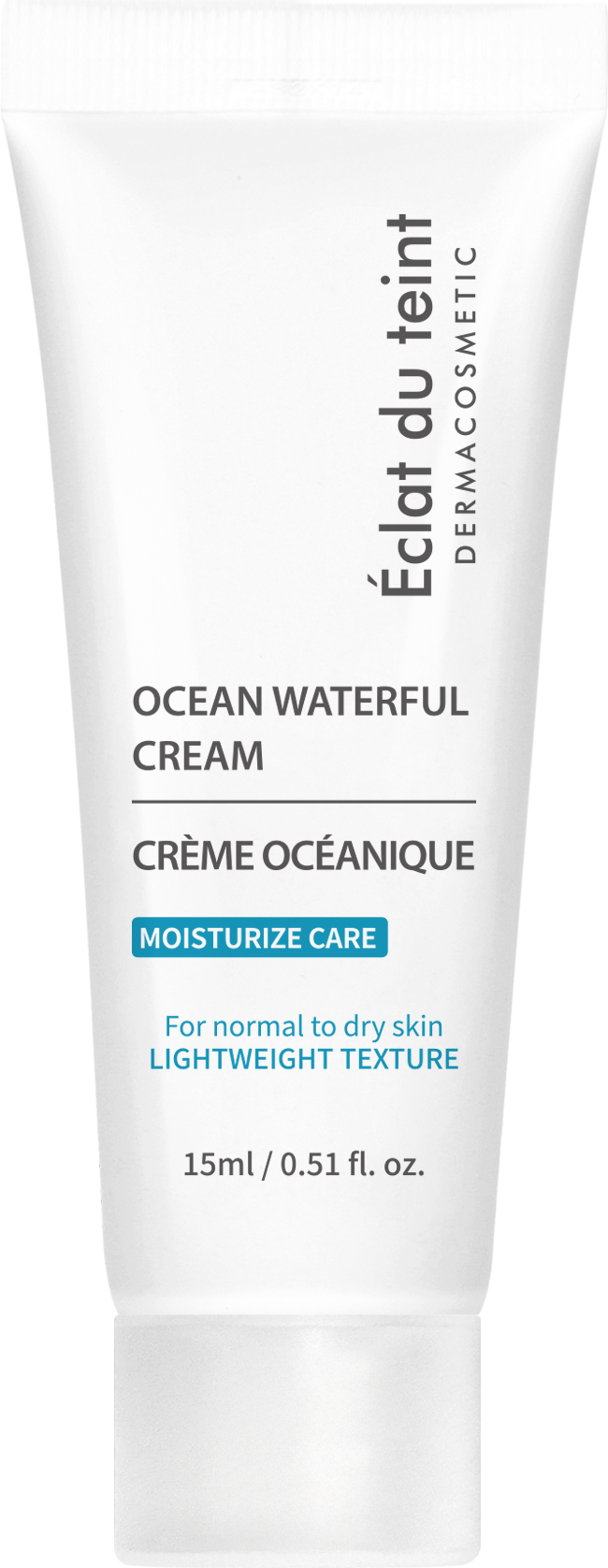 Éclat du teint Ocean Waterful Cream 100 ml (PRO)