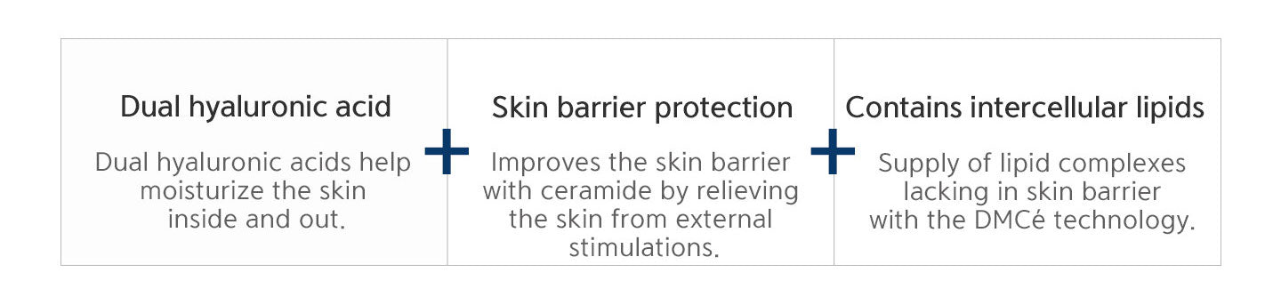Dual hyaluronic acid, skin carrier protection, contains intercellular lipids