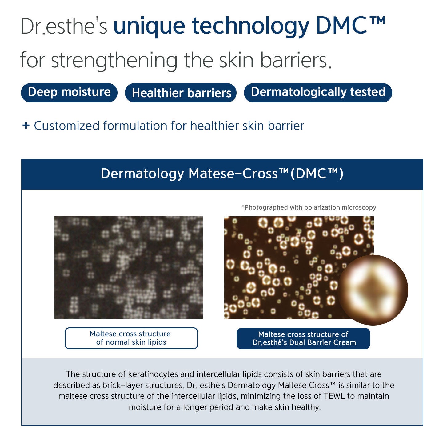 Dr.esthe's unique technology DMC for strengthening the skin barriers. Deep moisture, healthier barriers, dermatologically tested. 