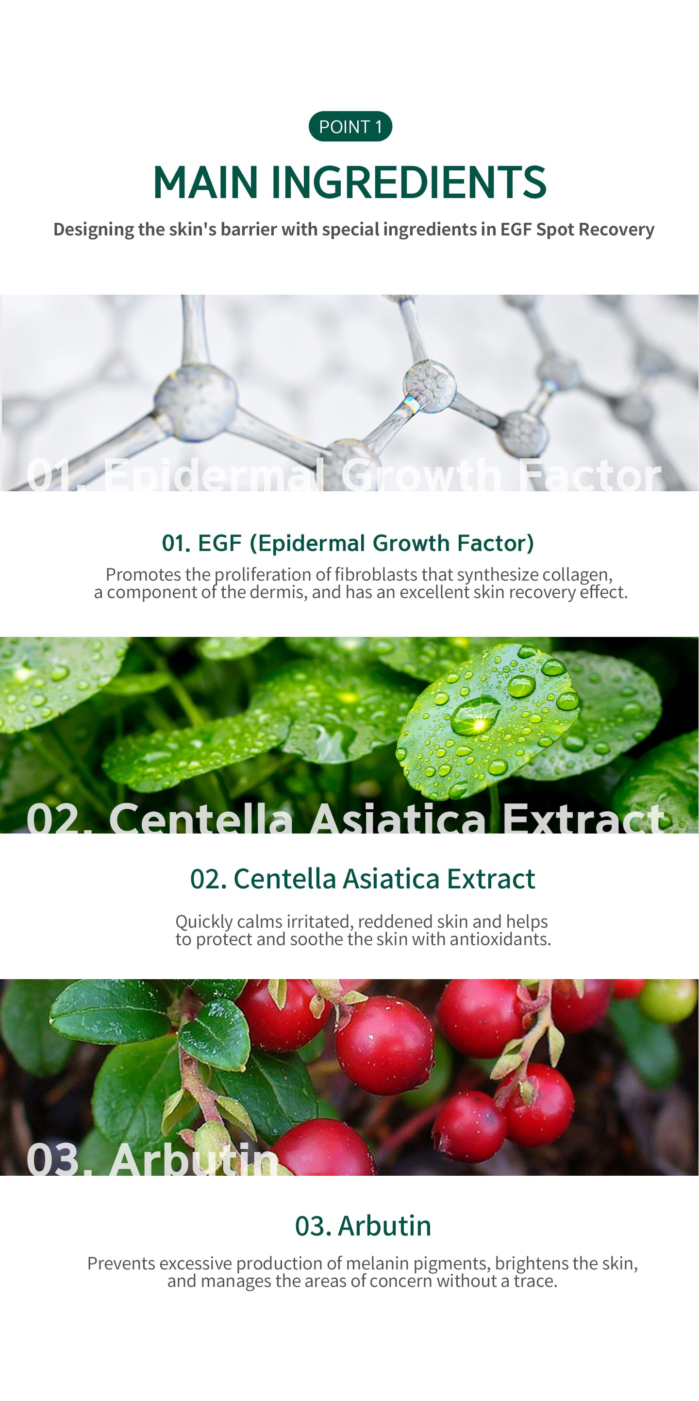 main ingredients: egf (epidermal growth factor) promotes the prolifeation of fibroblasts that synthesize collagen. Centella asiatica extract, quickly calm irritated, reddened skin. Arbutin, prevents excessive production of melanin pigments, brightens the 