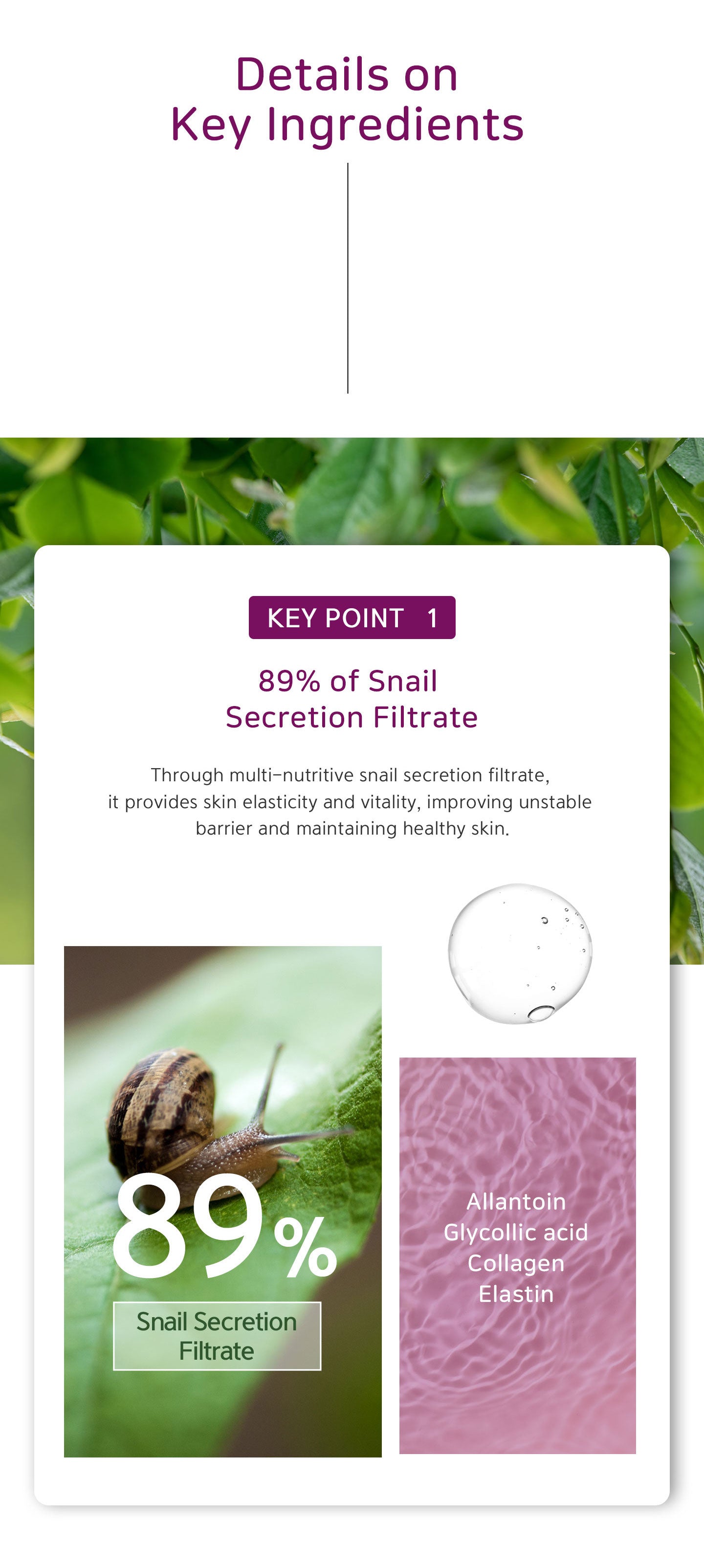 Through multi-nutritive snail secretion filtrate, it provides skin elasticity and vitality, improving unstable barrier and maintaining healthy skin. Allantoin, glycollic acid, collagen and elastin. 