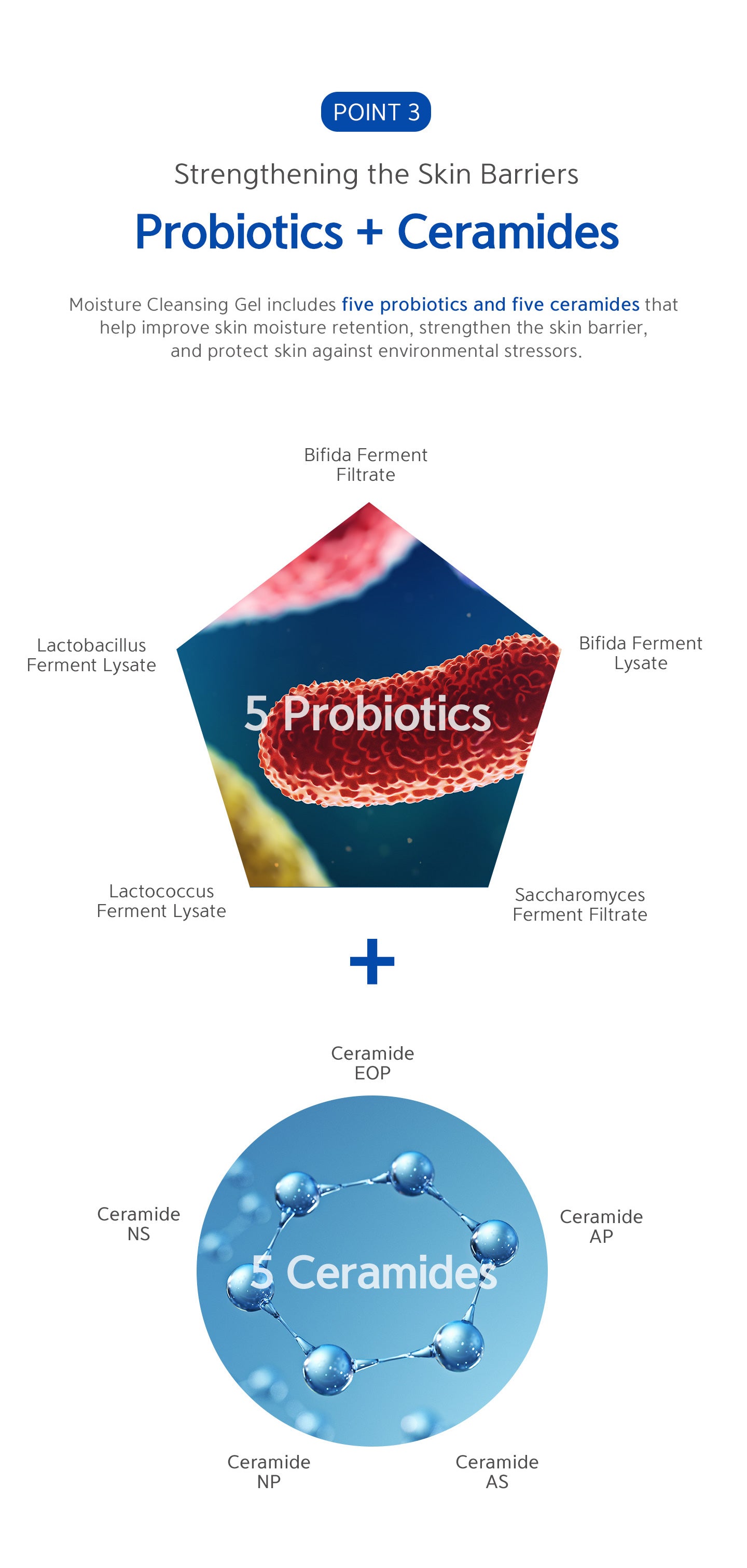 5 probiotics, 5 ceramides