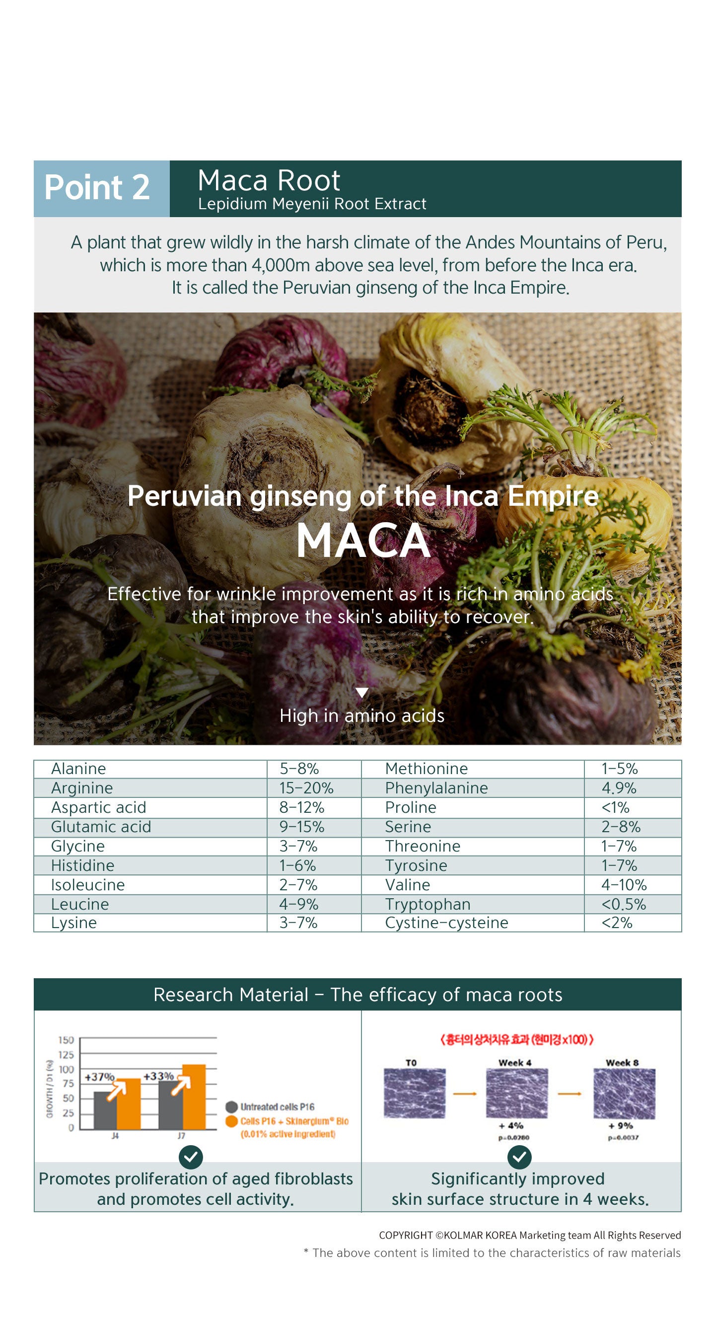 Maca root, a plant that grew wildly in the harsh climate of the Andes Mountains of Peru, which is more than 4000m above sea level, from before the Inca era. It is called the Peruvian ginseng of the Inca Empire. Effective for wrinkle improvement